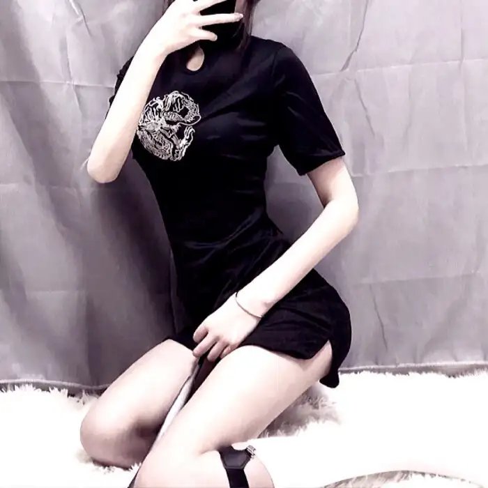 大象之梦